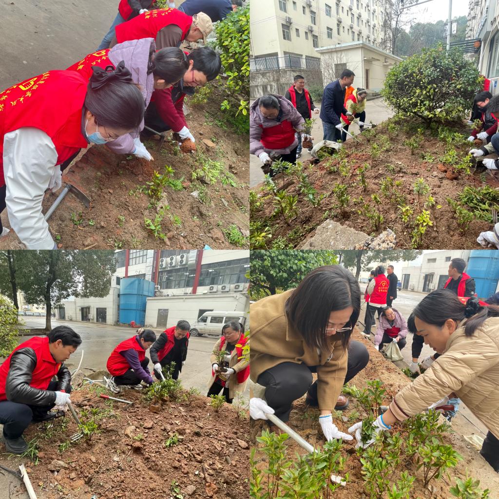 카지노 사이트 추천