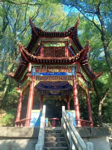 카지노 사이트 추천