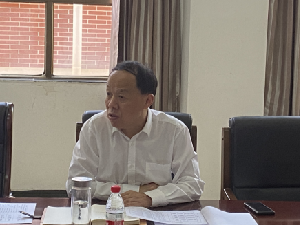 카지노 사이트