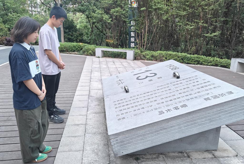 카지노 사이트
