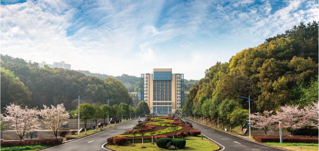 카지노 사이트 추천