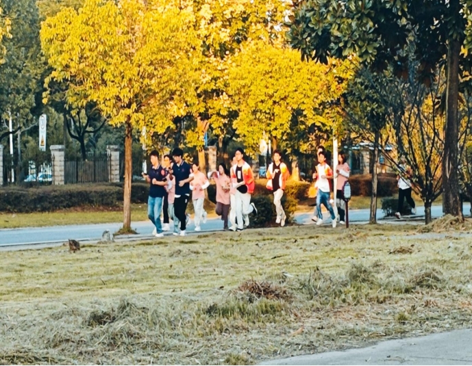 파라오 카지노