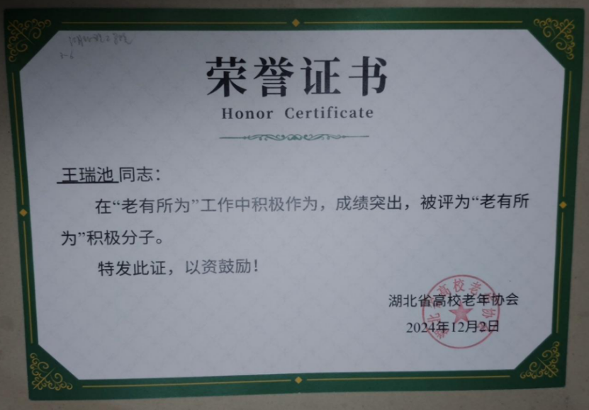 카지노 사이트