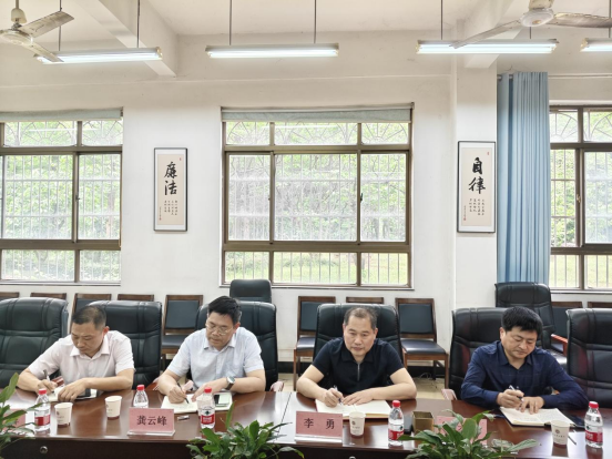 온라인 카지노
