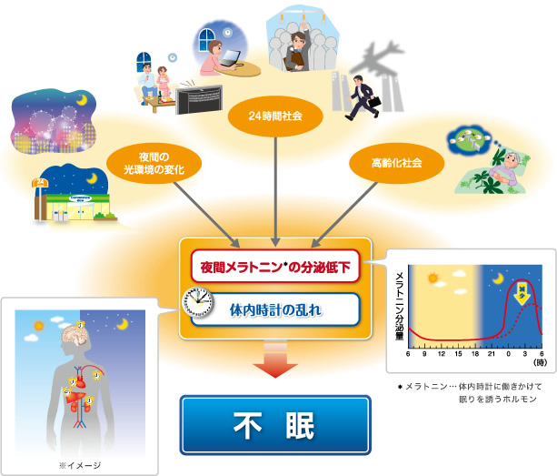 疲れたから眠るしくみ