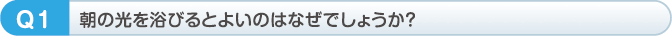 朝の光を浴びるとよいのはなぜでしょうか？