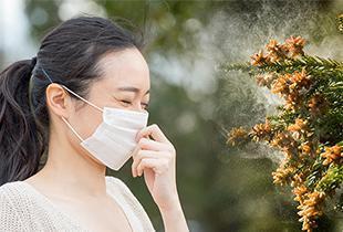 アイドル マスター パチスロ症特集