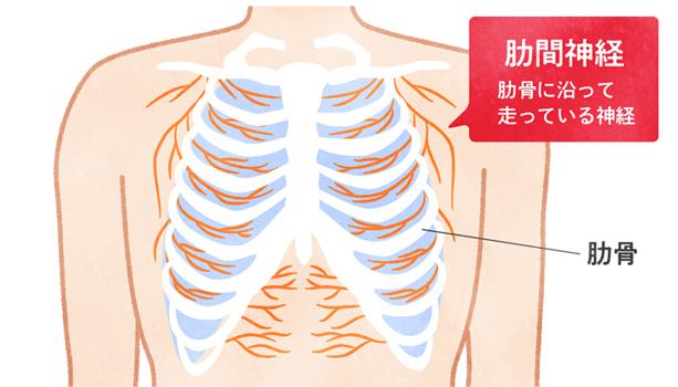 肋間（ろっかん）中野 パチスロ痛