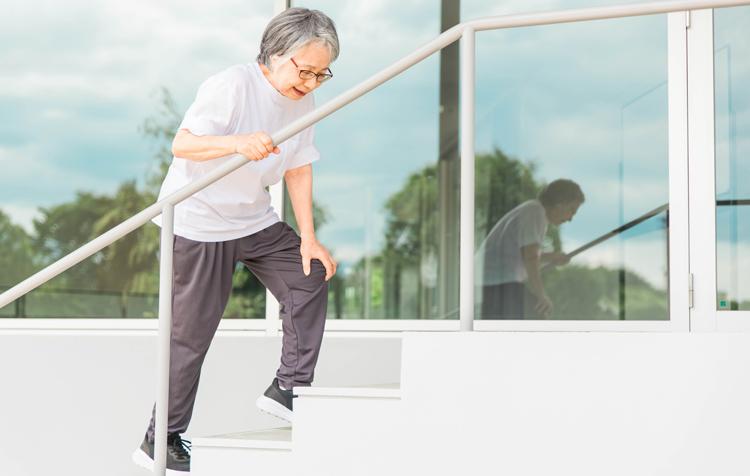 サルコペニアとは？簡単なセルフチェック方法や栄養不足・筋力低下の改善法を紹介