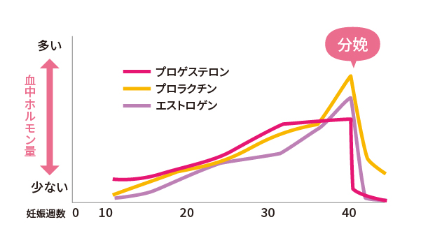 eac102c6b57420efee4415e41bfb8896 (1).png