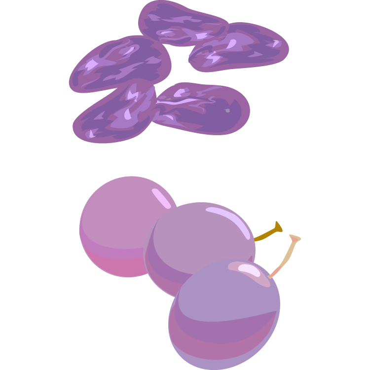 パチスロ 新台 カレンダーのときのおやつはプルーン