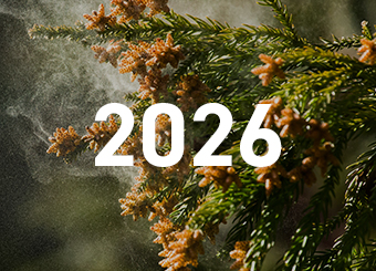 2026年 花粉症特集