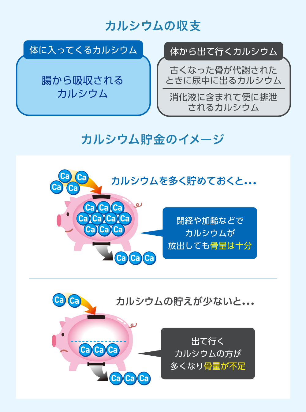 カルシウムの収支　カルシウム貯金のイメージ
