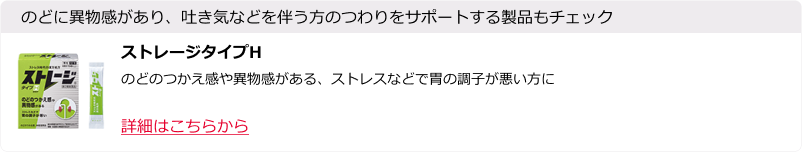 ストレージタイプH