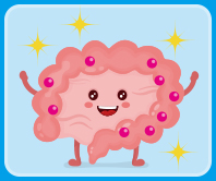 腸内細菌が作り出す短鎖脂肪酸のちから～注目される酪酸菌～